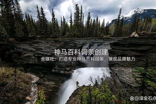 谁说我不跳？约基奇今日送出5次盖帽 平个人生涯纪录